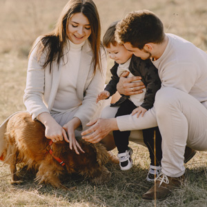 Gentle Journey Home home euthanasia Aftercare options Bereavement Counseling Pet euthanasia process