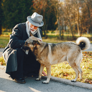 Gentle Journey Home home euthanasia Aftercare options Bereavement Counseling Pet euthanasia process