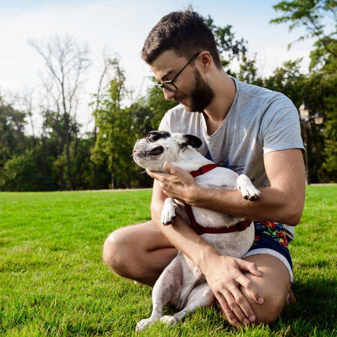 Gentle Journey Home home euthanasia Aftercare options Bereavement Counseling Pet euthanasia process