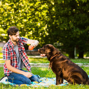 Gentle Journey Home home euthanasia Aftercare options Bereavement Counseling Pet euthanasia process